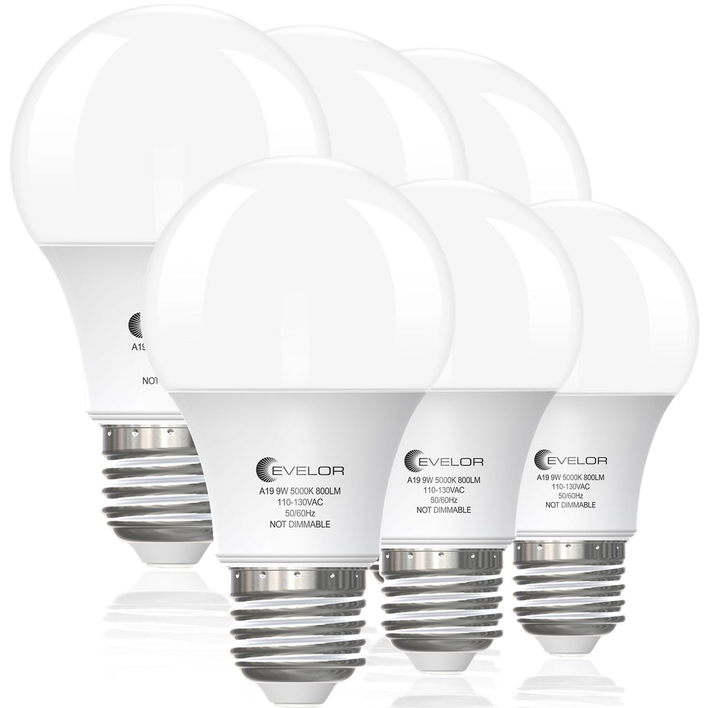 evelor 6-Pack A19 LED Light Bulbs