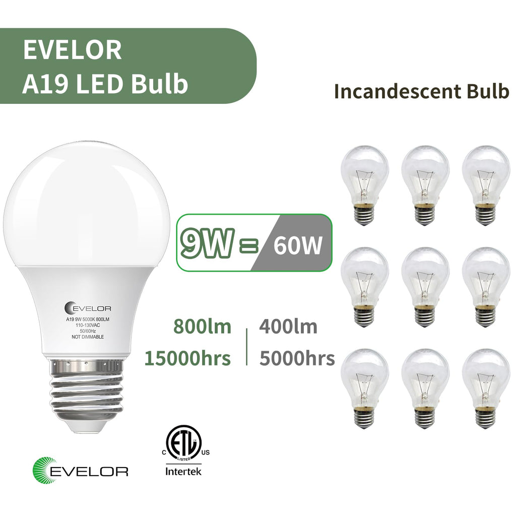 evelor 6-Pack A19 LED Light Bulbs