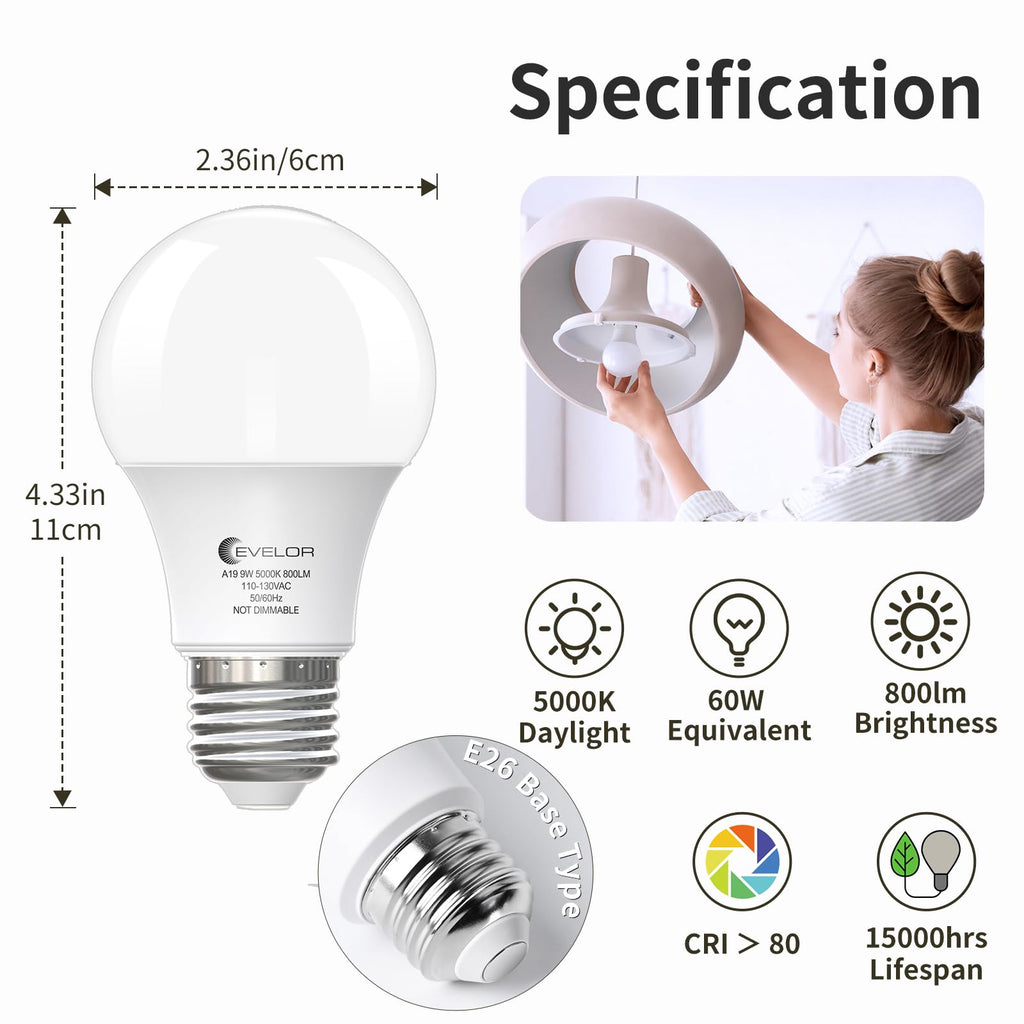 evelor 6-Pack A19 LED Light Bulbs